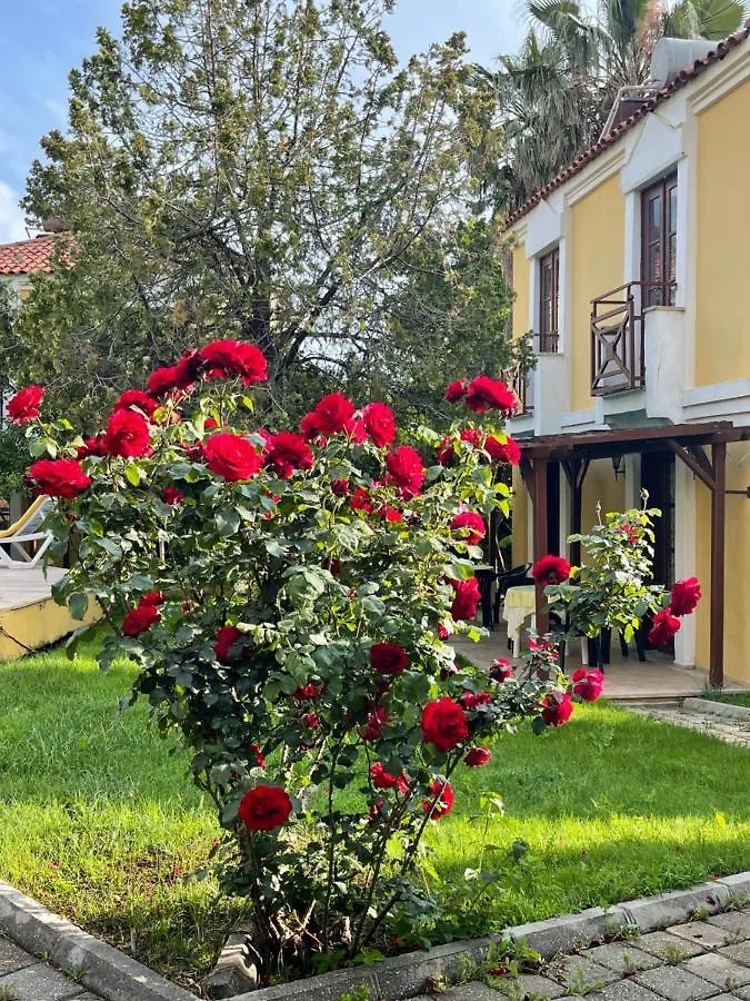Lägenhetshotell Villa Alisa Öludeniz Turkiet